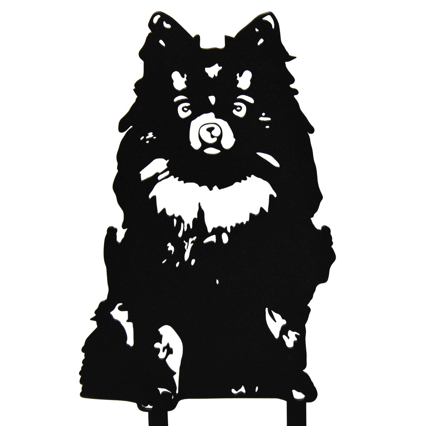 Pomeranian
