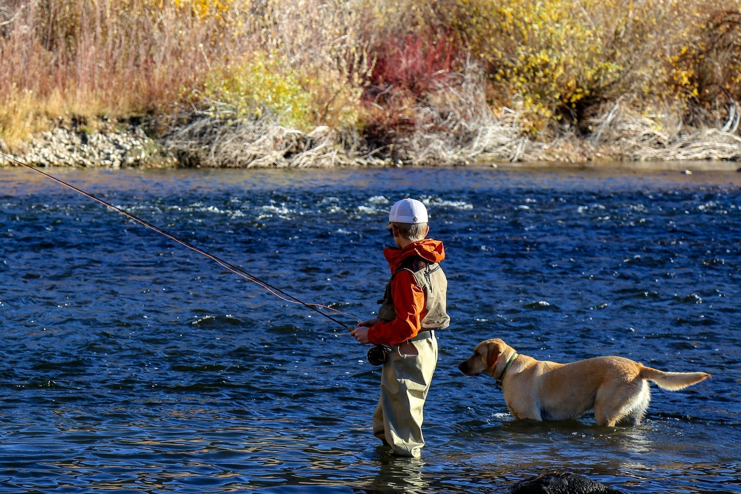Light Spruce Classic Streamer Flies - Set of 12 - Hook Size 4