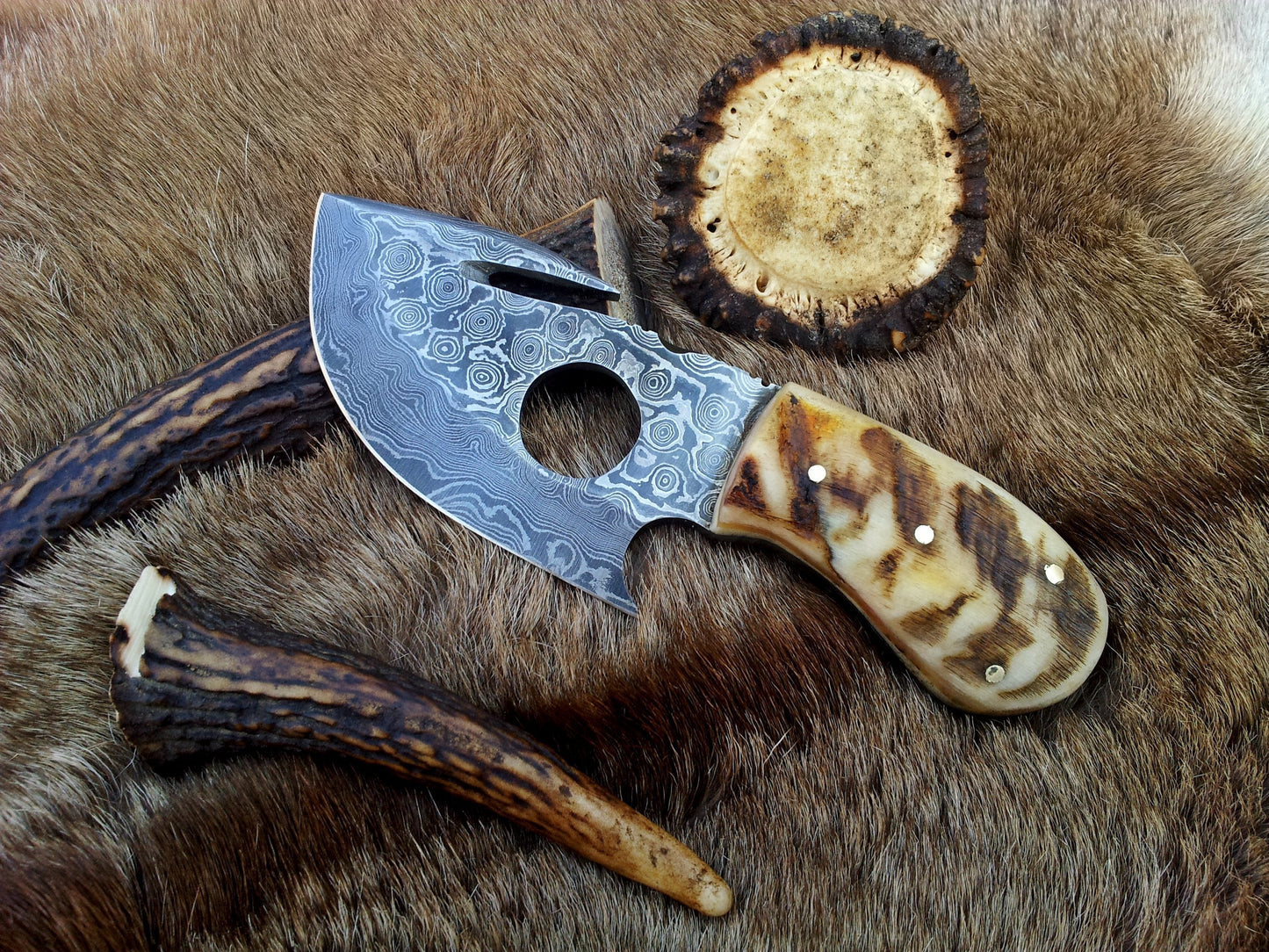 Premium Damascus Steel Gut Hook Skinning Knife – 7.5 Inch Overall Length with Sheep Horn Handle