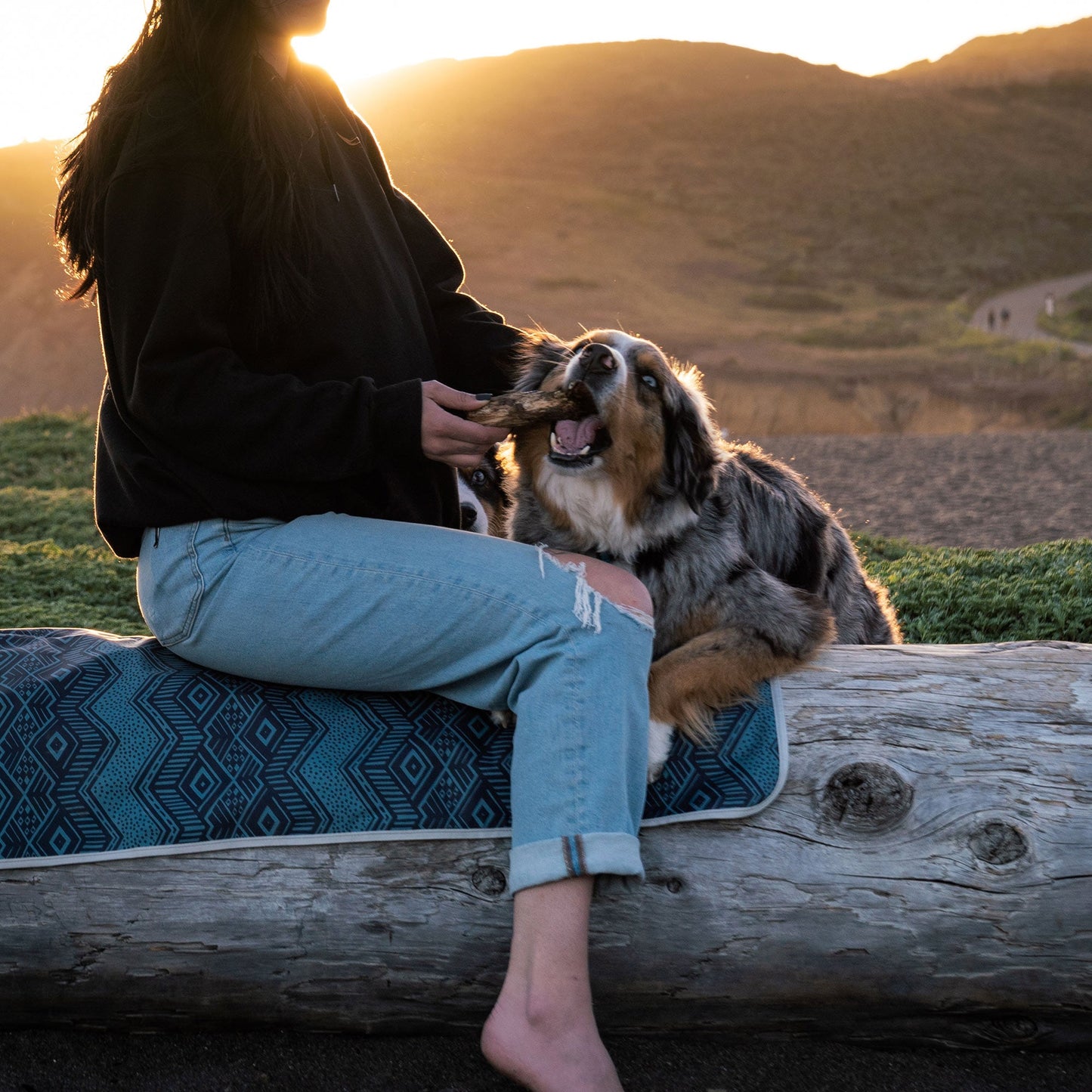 Grand Trunk Meadow Mat Waterproof Ground Mat