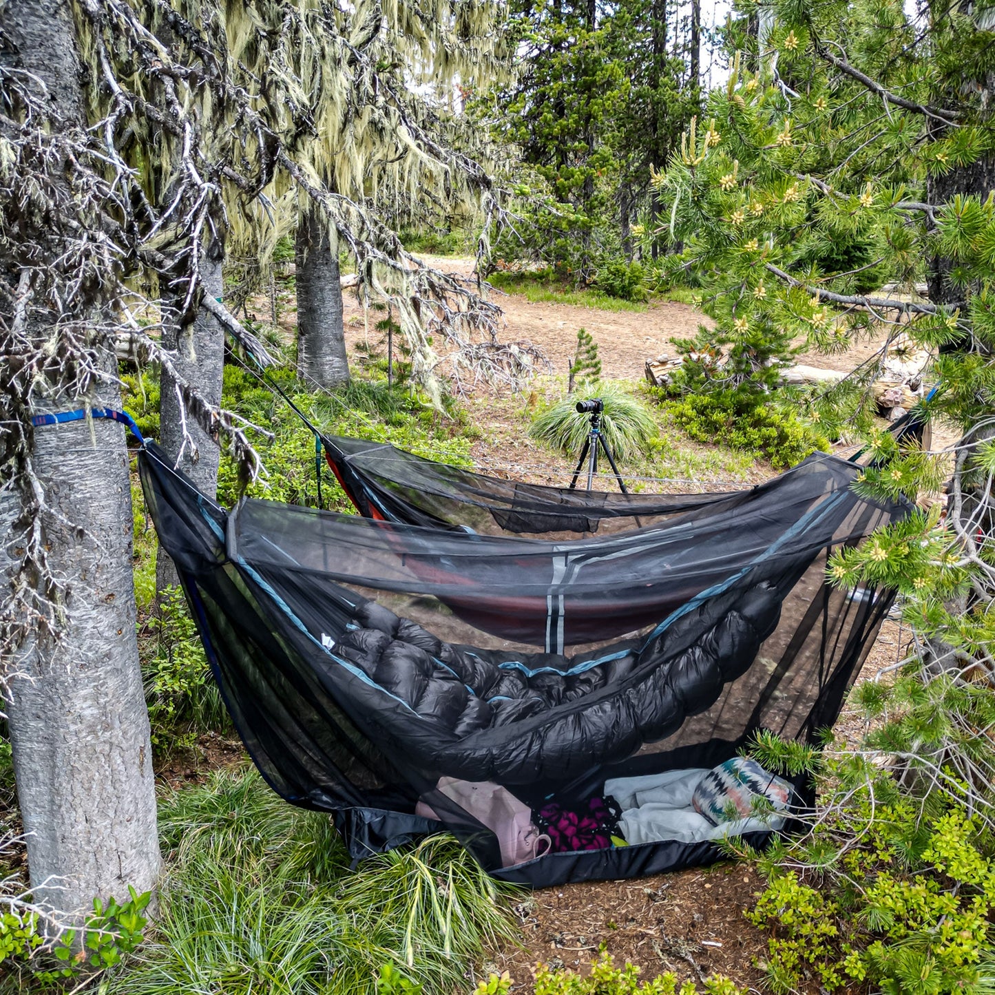 Grand Trunk MOZZY 360 Hammock Bug Net Shelter