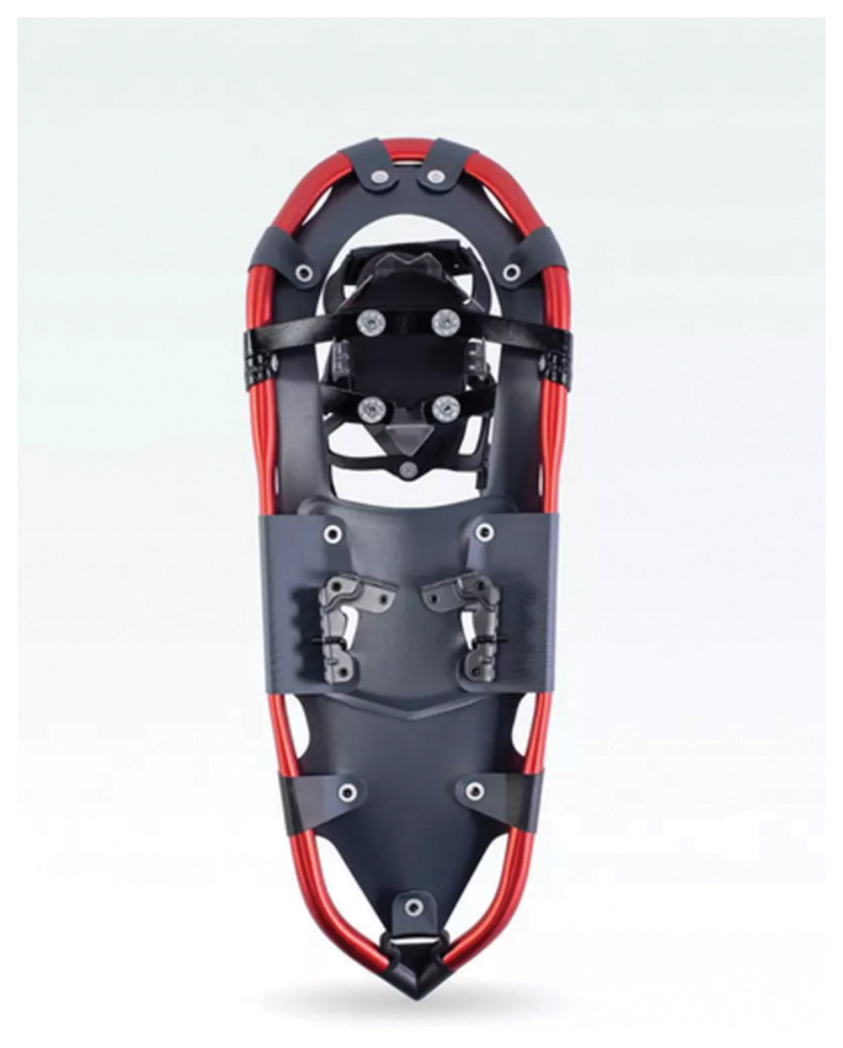 Snowshoes