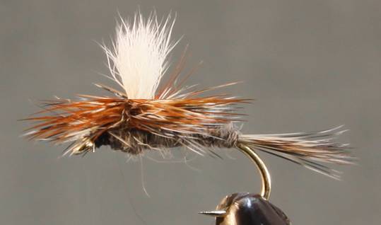 Fly Fishing