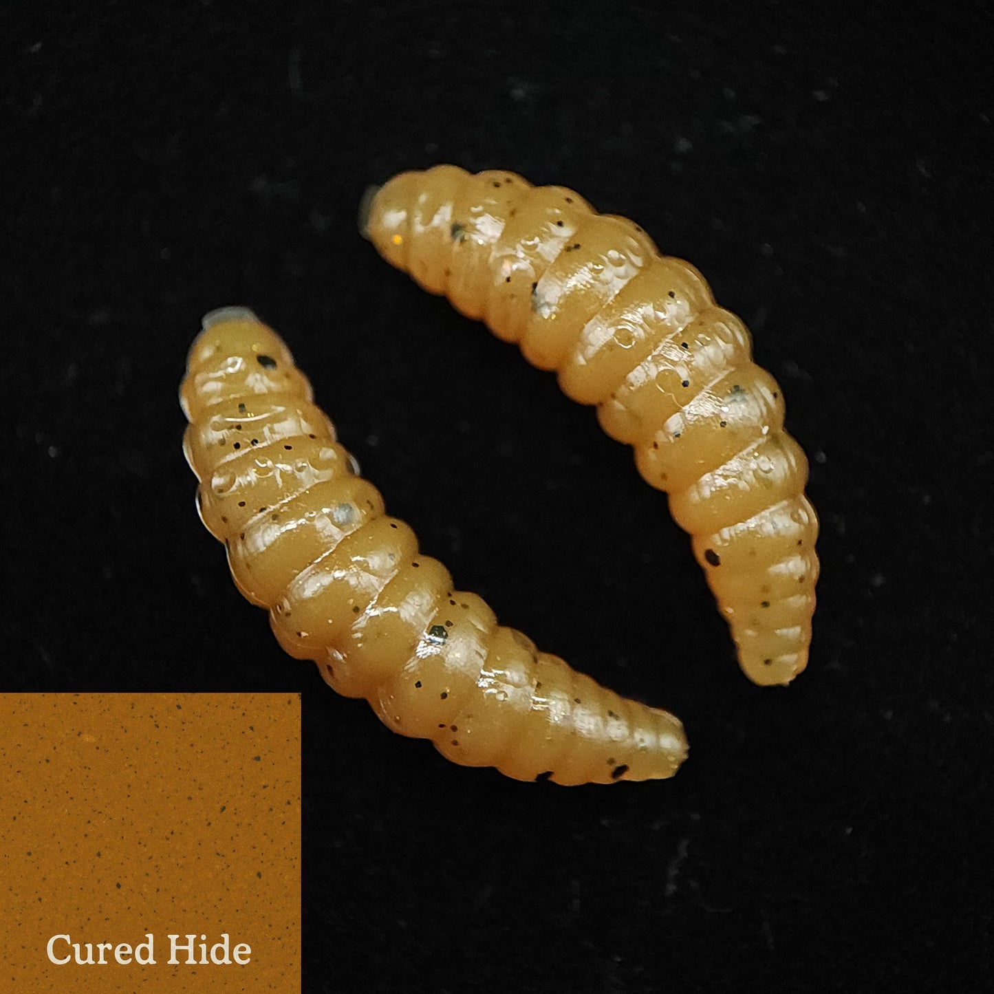 Jar of 1" Waxworm "The Tater Bug"