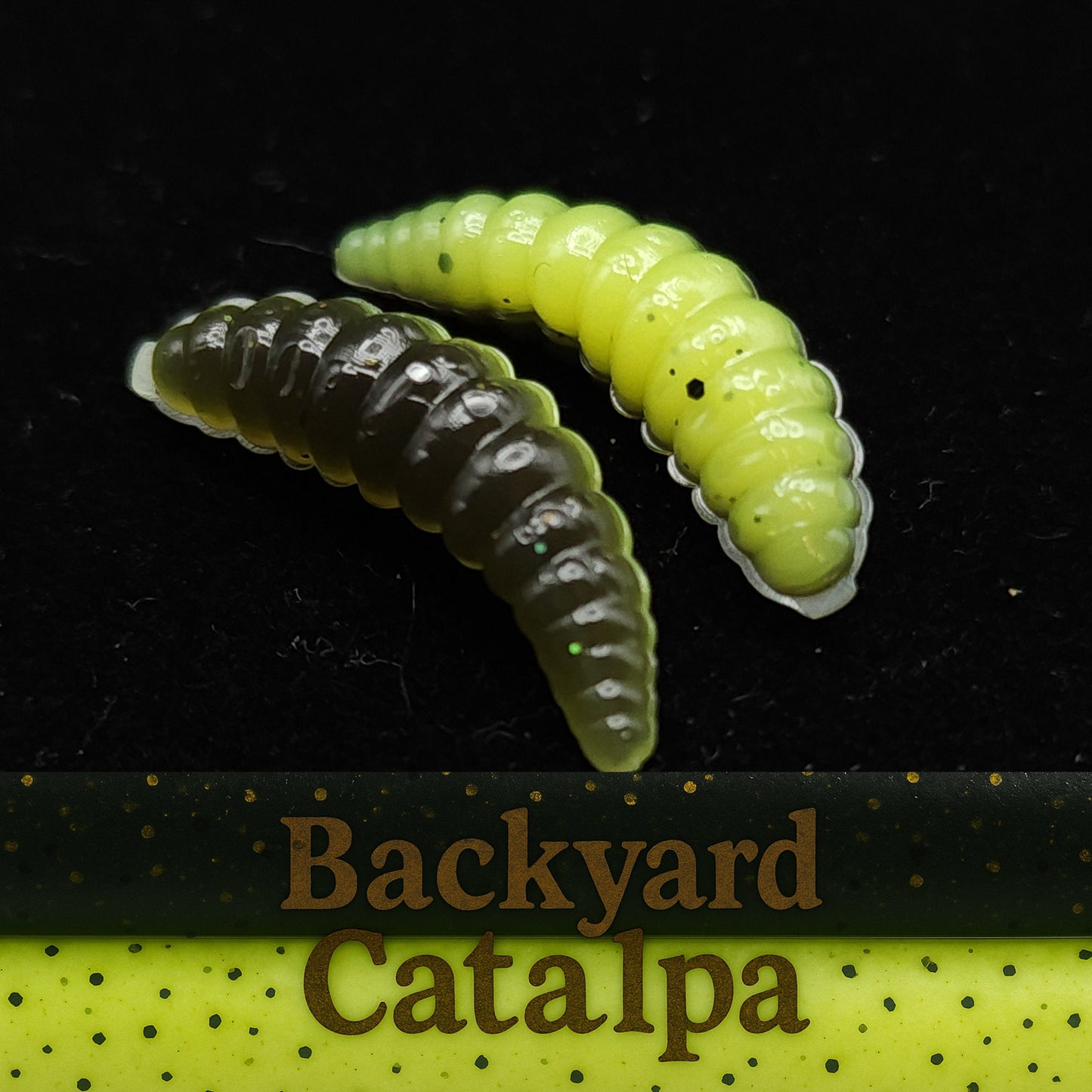 Jar of 1" Waxworm "The Tater Bug"