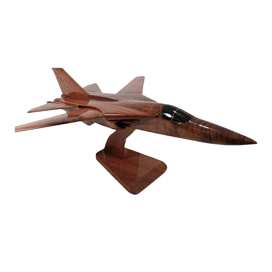 F-111 Aardvark