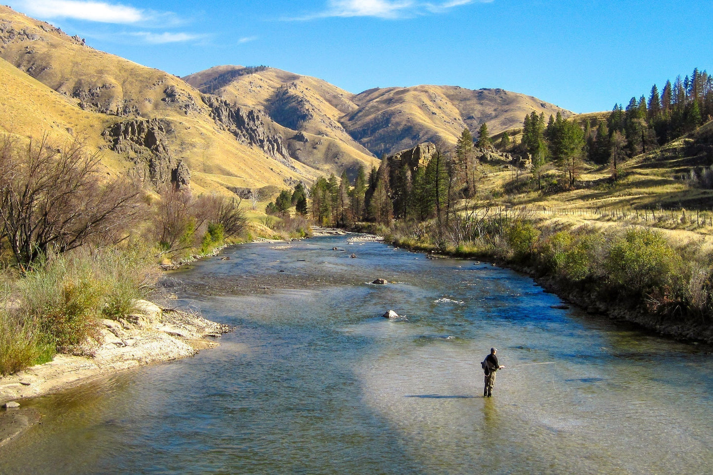 Barbless Bead Head Prince Nymph Fly Fishing Flies - Set of 6 Flies Hook Size 16