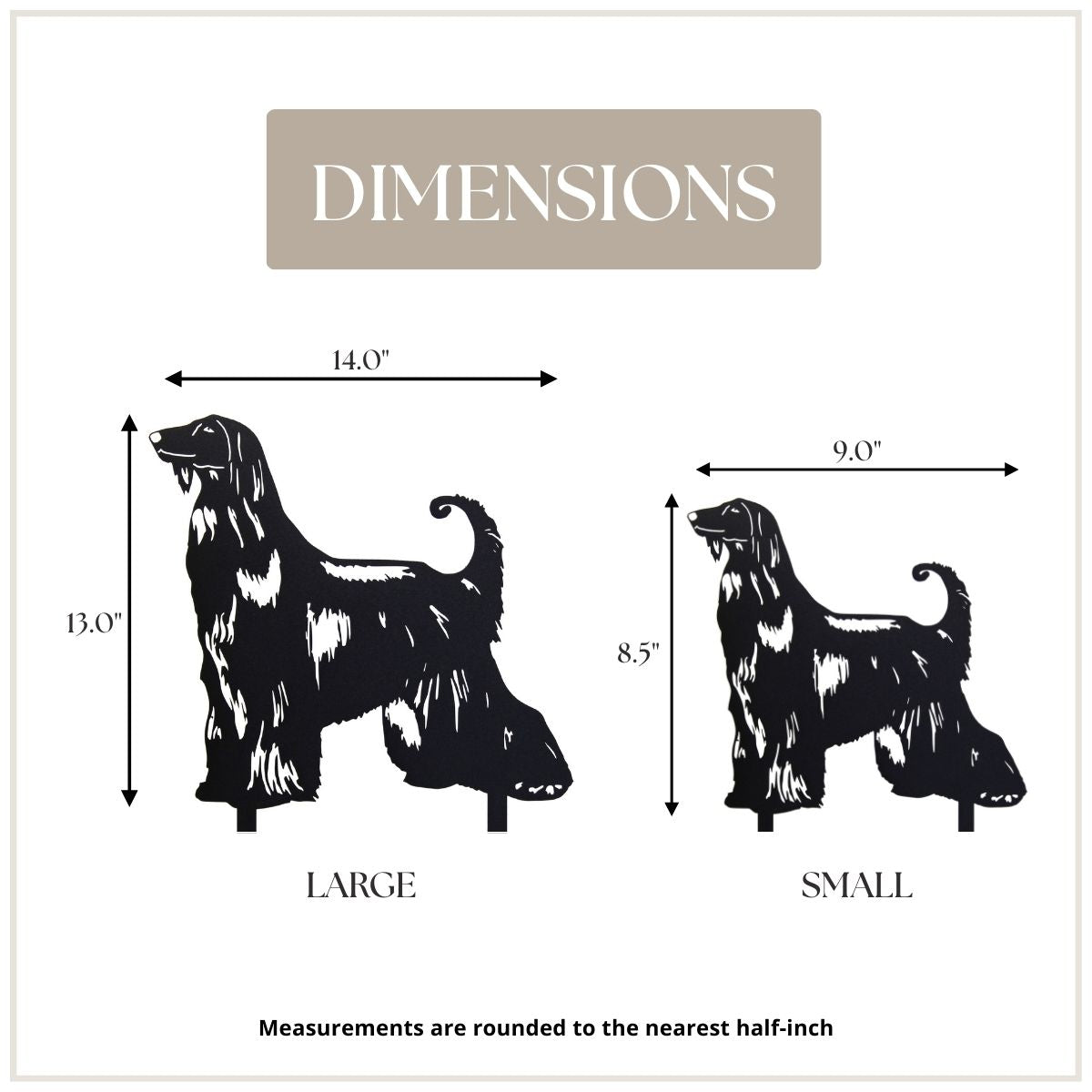 Afghan Hound
