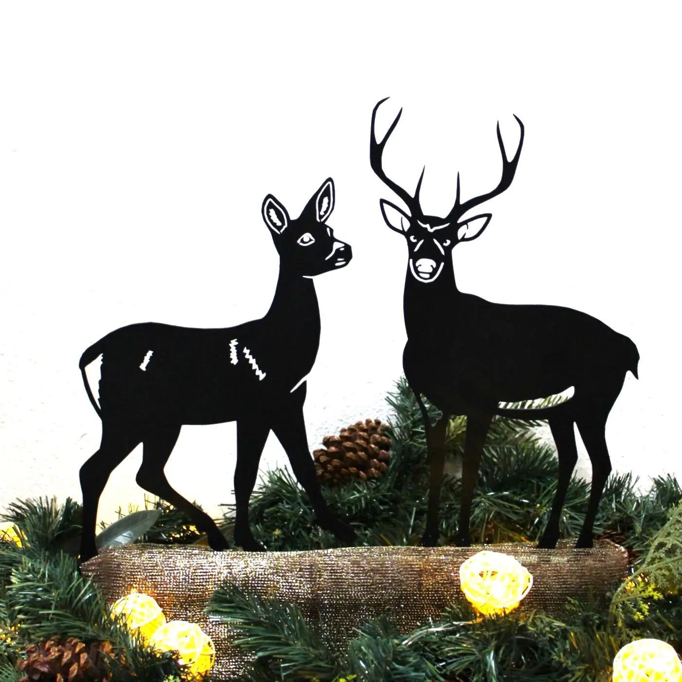 Deer - Buck