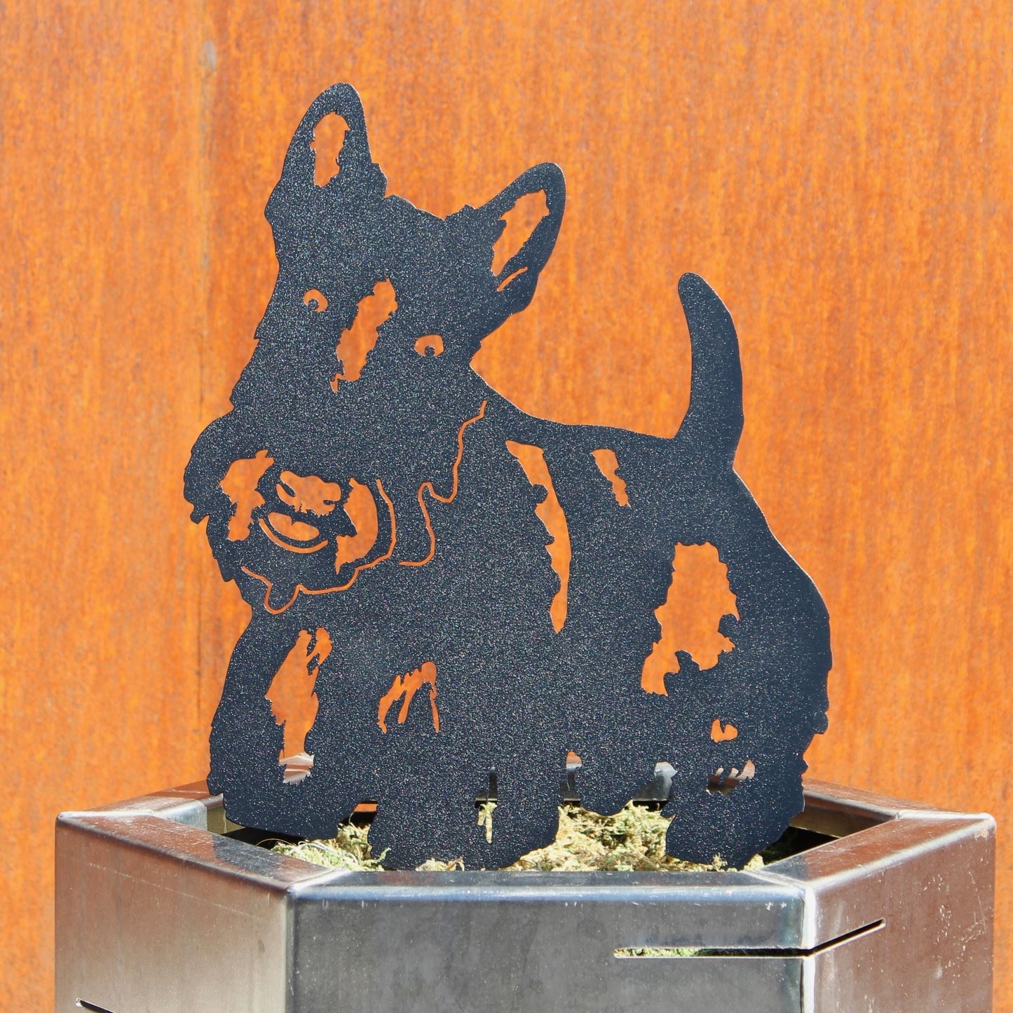 Scottish Terrier