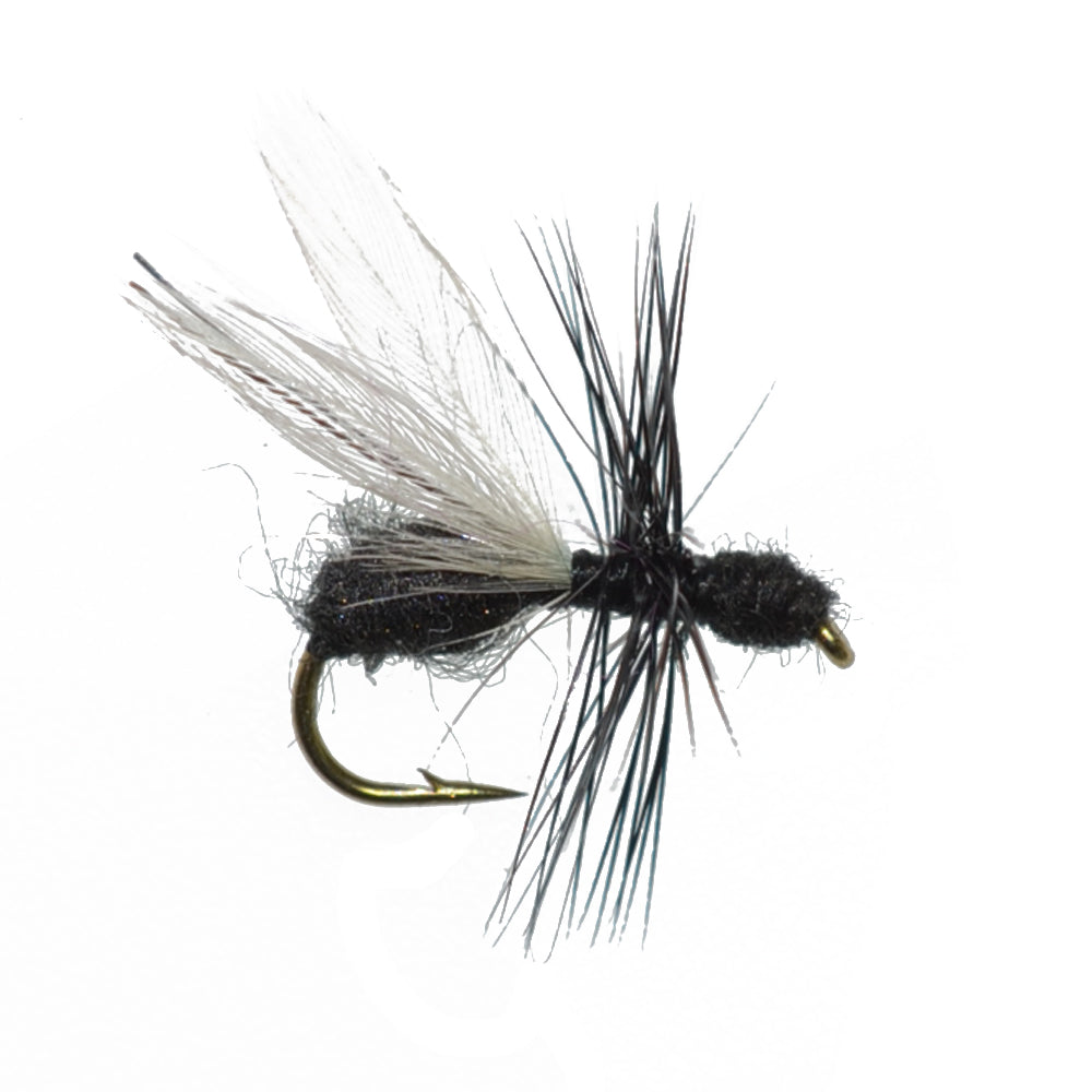 Trout Fly Assortment - Premium Terrestrial Flies - 24 Essential Hoppers, Ants and Beetles with Fly Box