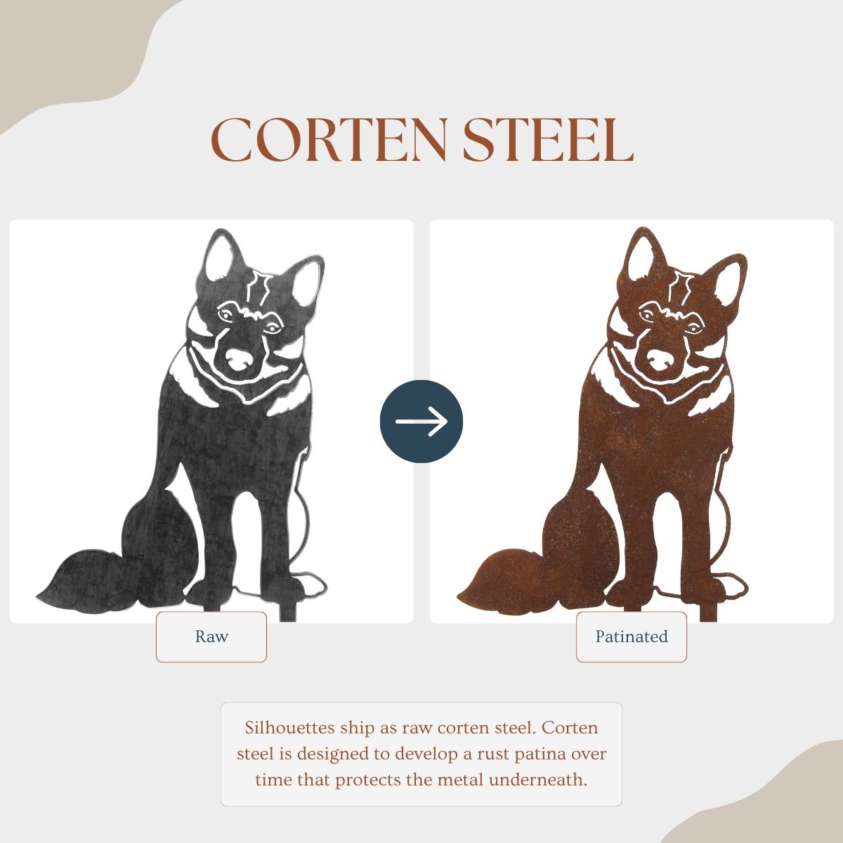 Norwegian Elkhound