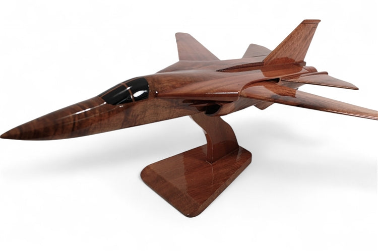 F-111 Aardvark