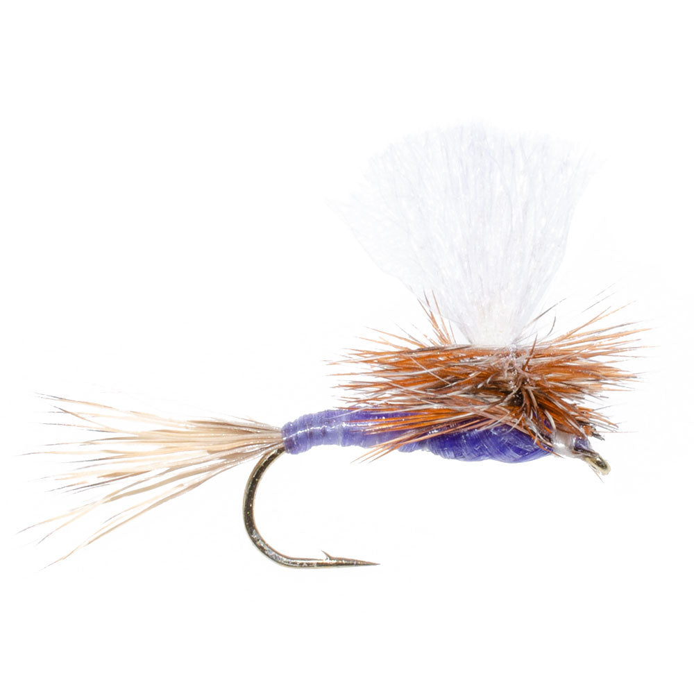 Parachute Purple Haze Dry Fly - 12 Flies Size 18