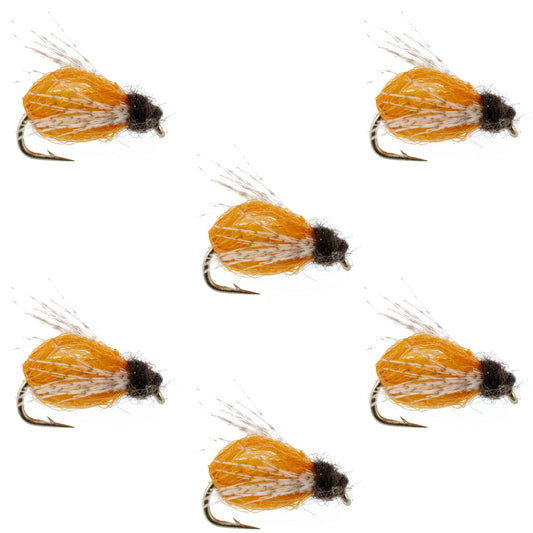 LaFontaine Amber Deep Sparkle Caddis Pupa - 6 Flies Hook Size 16