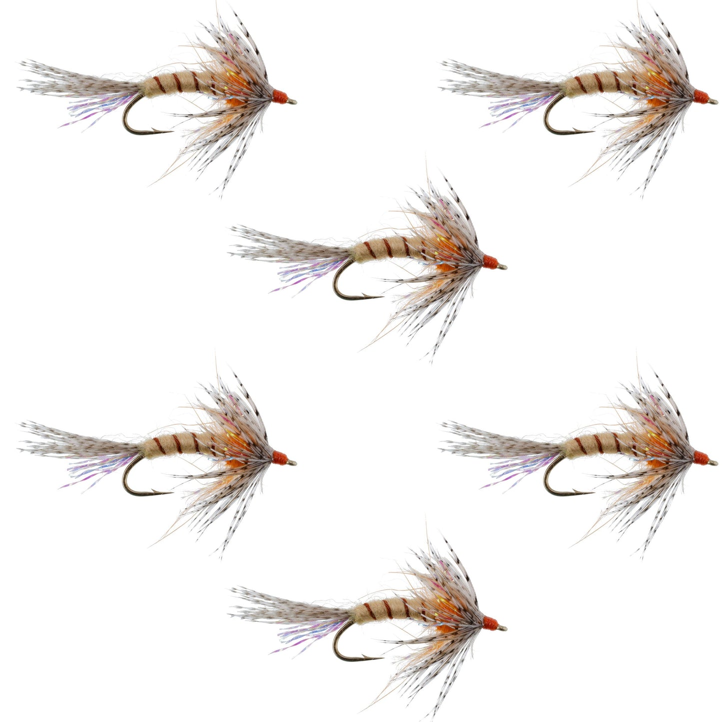 Orange Shakey Bealy Fall Soft Hackle Wet Fly - 6 Flies Hook Size 10