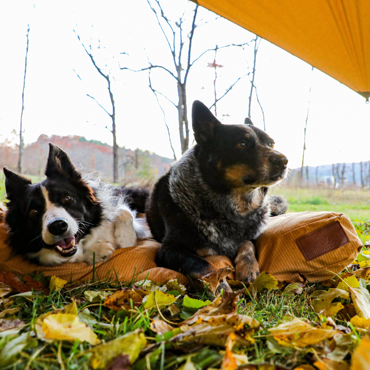 Sunshade Tarp 330